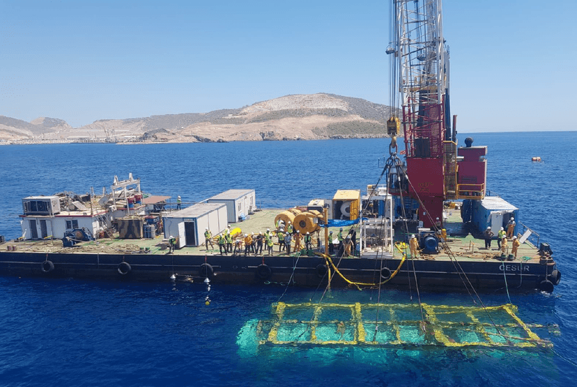 Nükleer santral deniz deşarjı çalışmaları