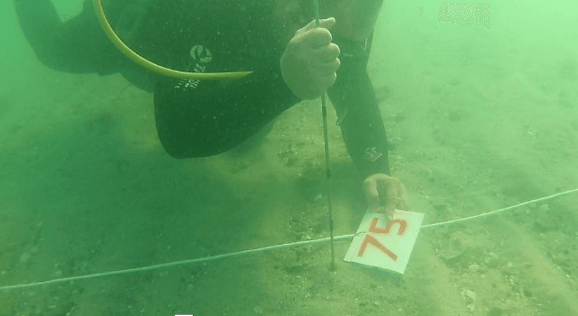 Zemin etüdü çalışmaları